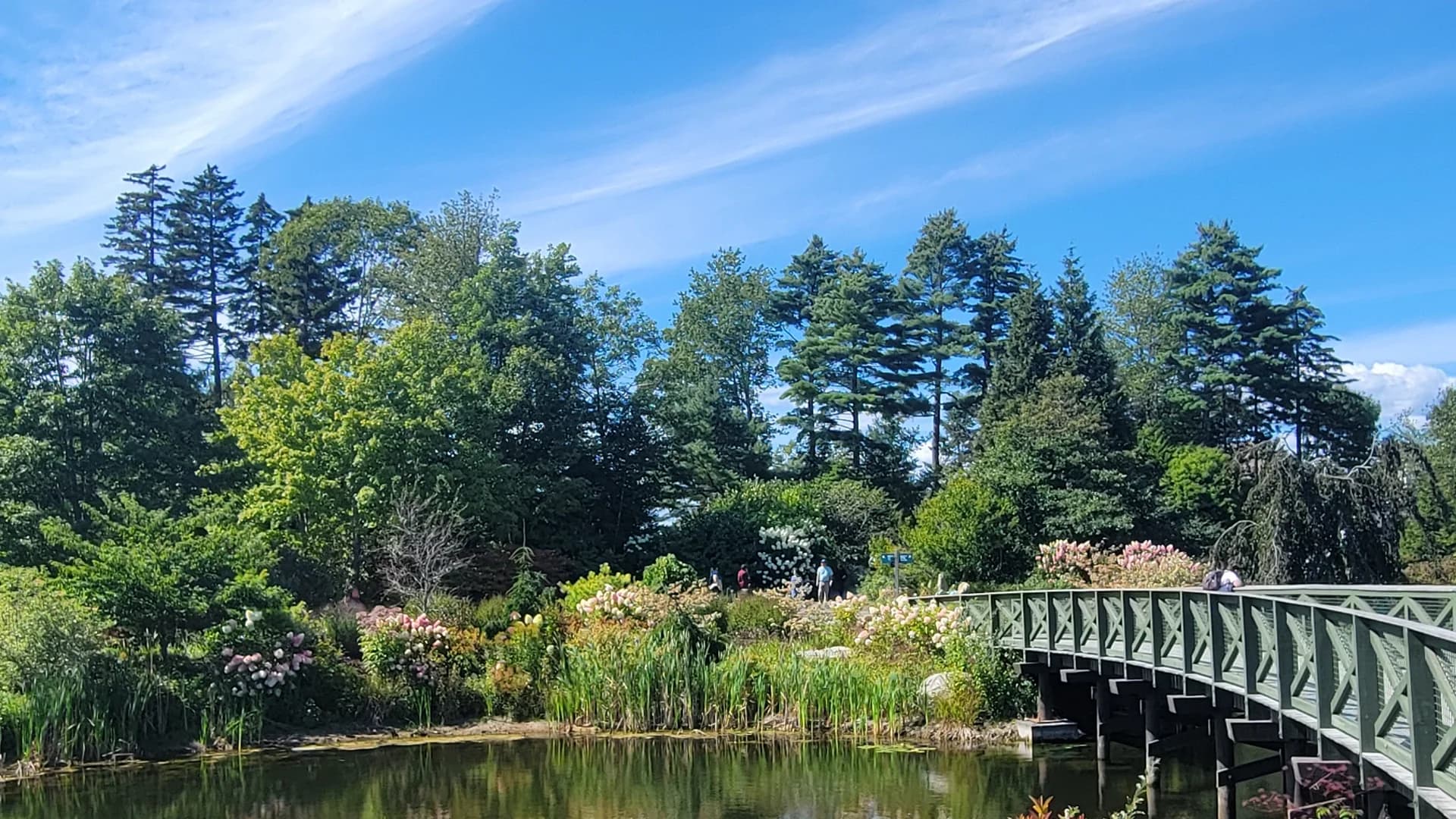 Daytime view of Coastal Maine Botanical Gardens footbridge spanning the pond during late-summer site selection and spatial planning.
